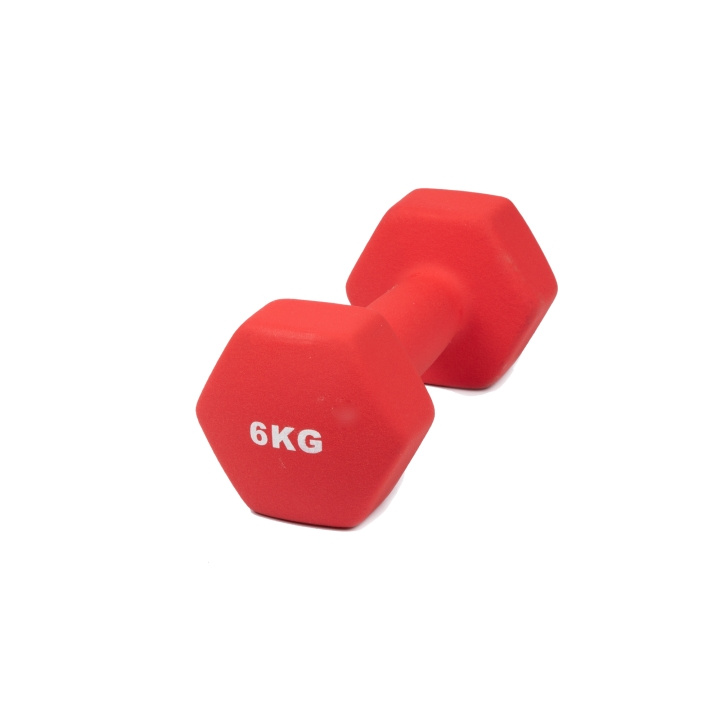 Hantel neopren 6 kg i gruppen SPORT, FRITID & HOBBY / Treningsutstyr / Treningstilbehør hos TP E-commerce Nordic AB (C24697)