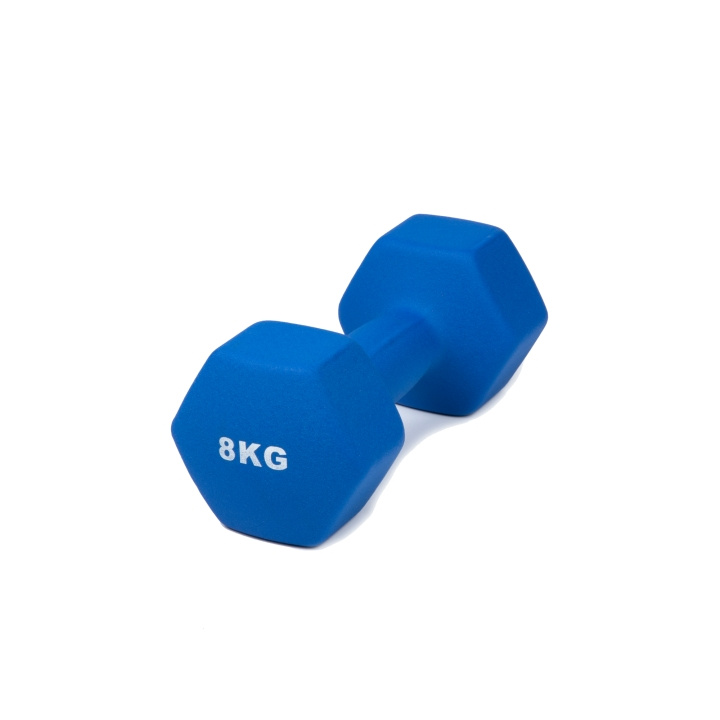 Hantel neopren 8 kg i gruppen SPORT, FRITID & HOBBY / Treningsutstyr / Treningstilbehør hos TP E-commerce Nordic AB (C24698)
