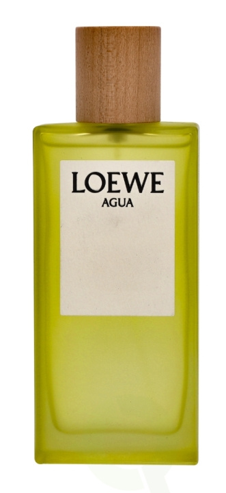 Loewe Agua Edt Spray 100 ml i gruppen HELSE OG SKJØNNHET / Duft og parfyme / Parfyme / Parfyme for henne hos TP E-commerce Nordic AB (C34076)