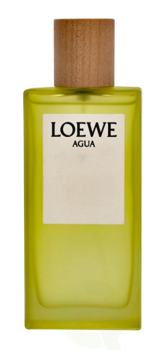 Loewe Agua Edt Spray 100 ml i gruppen HELSE OG SKJØNNHET / Duft og parfyme / Parfyme / Parfyme for henne hos TP E-commerce Nordic AB (C34076)