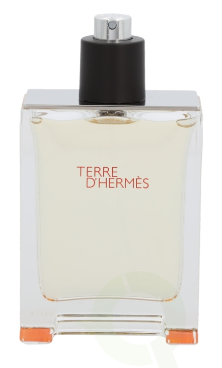 Hermes Terre D\'Hermes Edt Spray 100 ml i gruppen HELSE OG SKJØNNHET / Duft og parfyme / Parfyme / Parfyme for han hos TP E-commerce Nordic AB (C34507)