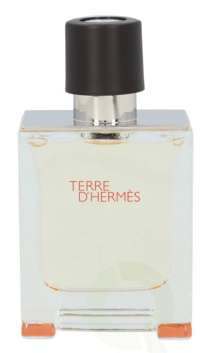 Hermes Terre D\'Hermes Edt Spray 50 ml i gruppen HELSE OG SKJØNNHET / Duft og parfyme / Parfyme / Parfyme for han hos TP E-commerce Nordic AB (C34508)