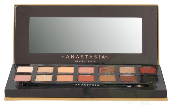 Anastasia Beverly Hills Soft Glam Eyeshadow Palette 10.3 gr 14x0,74gr/Duo Shadow Brush i gruppen HELSE OG SKJØNNHET / Makeup / Øyne og øyebryn / Øyeskygger hos TP E-commerce Nordic AB (C42197)