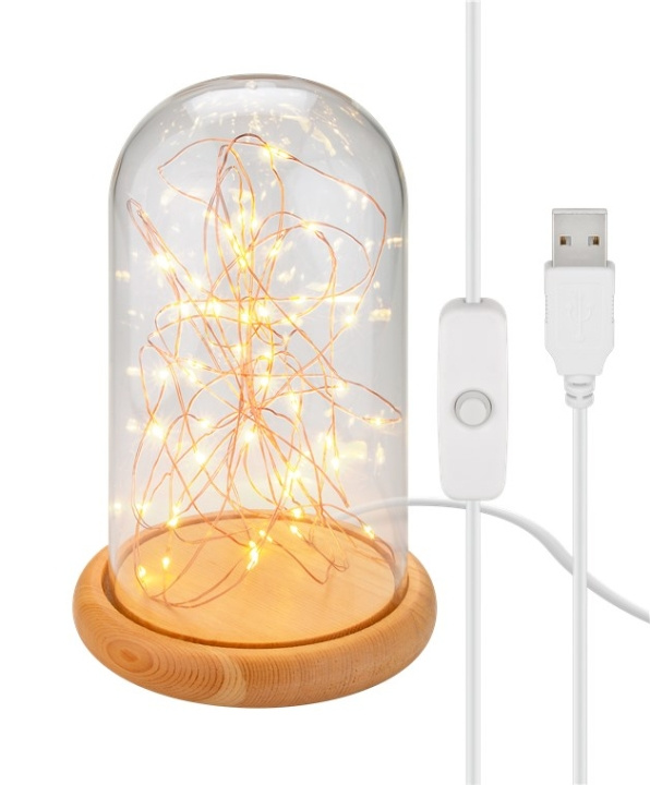 Goobay Glaskupa med mikro LED mikro-ljusslinga med träplatta, 115 cm USB-kabel, 5 m ljuskedja med 50 mikro-LED i varmvitt (2700 K) och strömbrytare (On/Off) i gruppen Elektronikk / Lys / Bordlamper hos TP E-commerce Nordic AB (C44094)