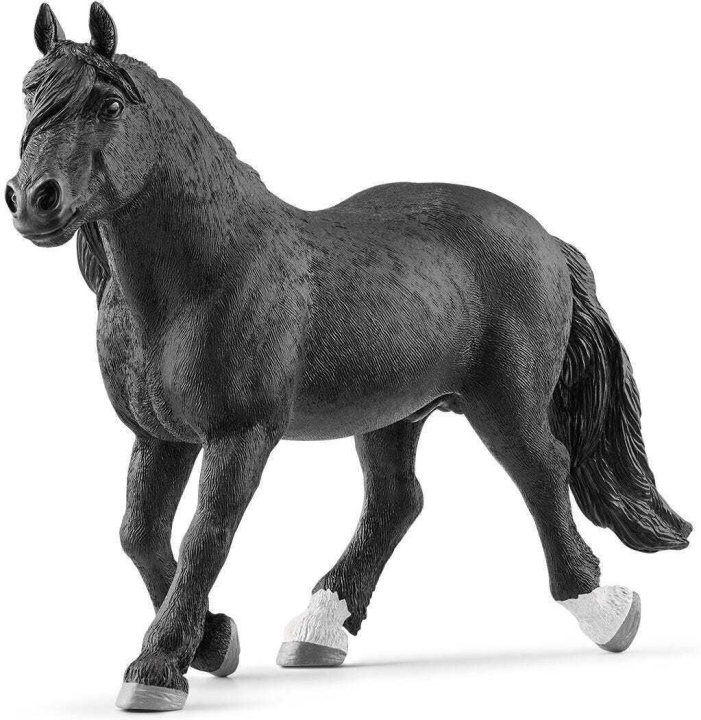 Schleich Hesteklubben 13958 Noriker Hingst i gruppen LEKER, BARN OG BABY / Leker / Figurer, miniatyrer og tilbehør hos TP E-commerce Nordic AB (C47858)
