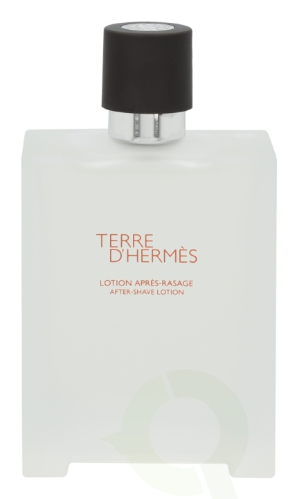 Hermes Terre D\'Hermes After Shave Lotion 100 ml i gruppen HELSE OG SKJØNNHET / Hår & styling / Barbering og trimming / Aftershave hos TP E-commerce Nordic AB (C48585)