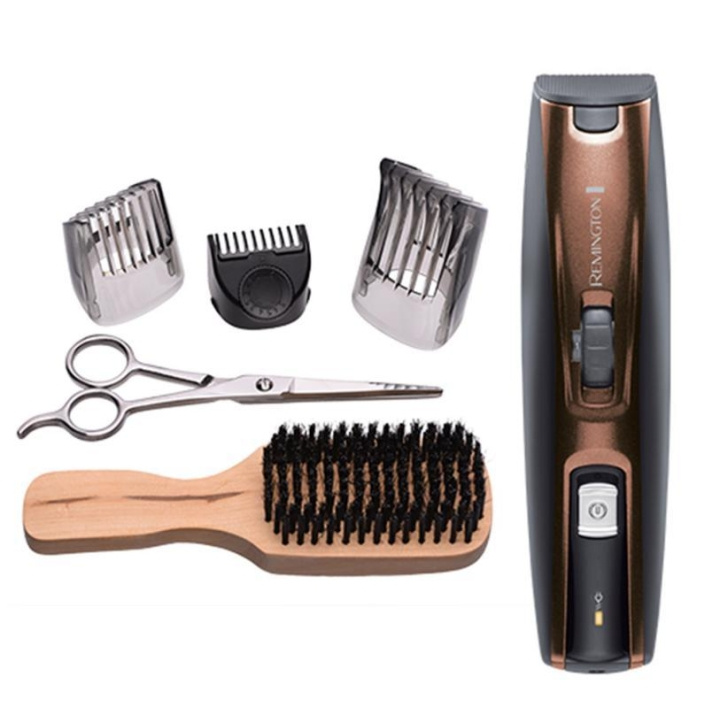 Remington Skjeggsett i gruppen HELSE OG SKJØNNHET / Hår & styling / Barbering og trimming / Skjeggtrimmere og tilbehør hos TP E-commerce Nordic AB (C51925)