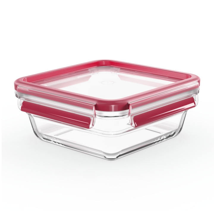Tefal MasterSeal Glass oppbevaringsboks, glass, 0,8 l i gruppen HJEM, HUS OG HAGE / Kjøkkenutstyr / Annet kjøkkenutstyr hos TP E-commerce Nordic AB (C58183)