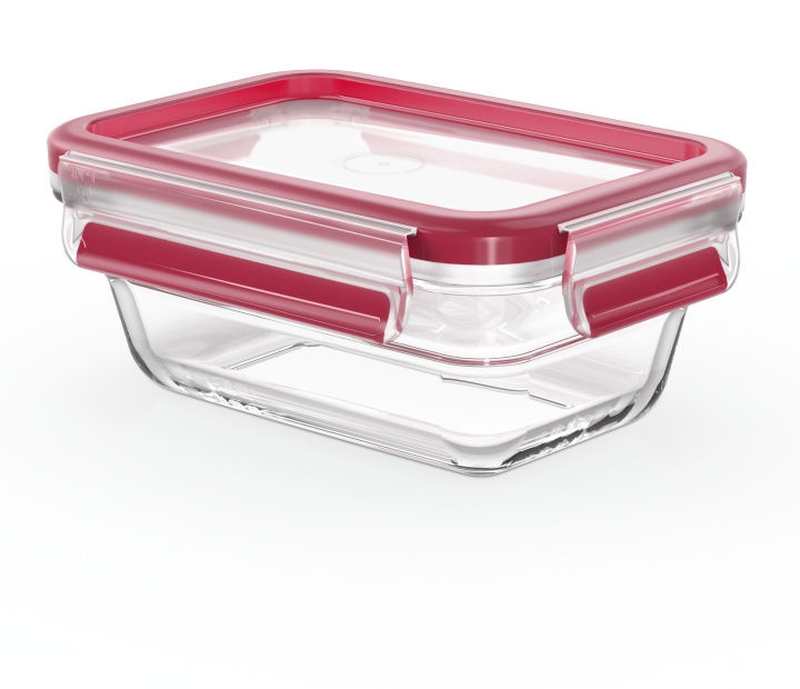 Tefal MasterSeal Glass oppbevaringsboks, glass, 0,45 l i gruppen HJEM, HUS OG HAGE / Kjøkkenutstyr / Matbokser & Matbeholder hos TP E-commerce Nordic AB (C58184)