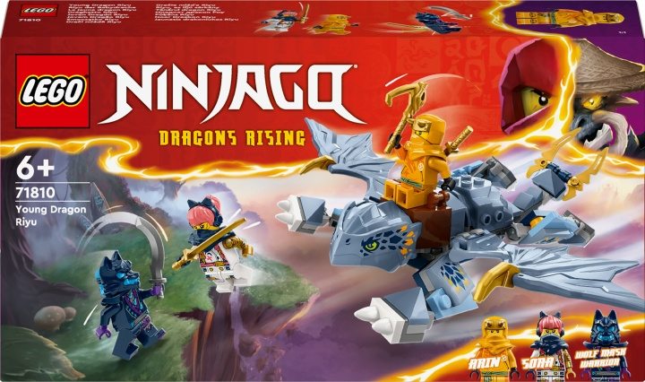 LEGO Ninjago 71810 - Little Dragon Riyu i gruppen LEKER, BARN OG BABY / Leker / Byggeleker / Lego hos TP E-commerce Nordic AB (C58537)