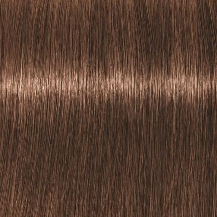 Schwarzkopf Professional Igora Vibrance Kit 6-6 Dark Blonde Chocolate i gruppen HELSE OG SKJØNNHET / Hår & styling / Hårpleie / Hårfarge / Hårfarge & Fargebombe hos TP E-commerce Nordic AB (C62326)