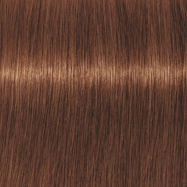 Schwarzkopf Professional Igora Vibrance Kit 5-67 Light Brown Chocolate Copper i gruppen HELSE OG SKJØNNHET / Hår & styling / Hårpleie / Hårfarge / Hårfarge & Fargebombe hos TP E-commerce Nordic AB (C62327)