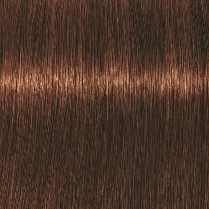 Schwarzkopf Professional Igora Vibrance Kit 5-7 Light Brown Copper i gruppen HELSE OG SKJØNNHET / Hår & styling / Hårpleie / Hårfarge / Hårfarge & Fargebombe hos TP E-commerce Nordic AB (C62333)