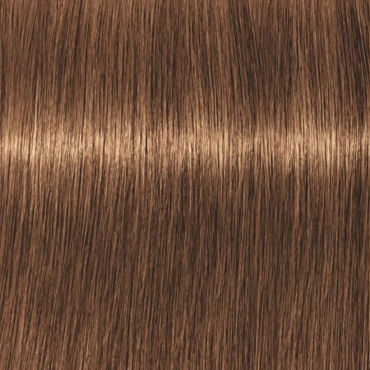 Schwarzkopf Professional Igora Vibrance Kit 7-55 Medium Blonde Gold Extra i gruppen HELSE OG SKJØNNHET / Hår & styling / Hårpleie / Hårfarge / Hårfarge & Fargebombe hos TP E-commerce Nordic AB (C62336)