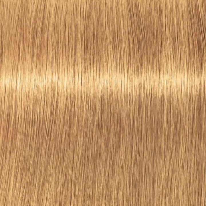 Schwarzkopf Professional Igora Vibrance Kit 9-55 Extra Light Blonde Gold Extra i gruppen HELSE OG SKJØNNHET / Hår & styling / Hårpleie / Hårfarge / Hårfarge & Fargebombe hos TP E-commerce Nordic AB (C62347)