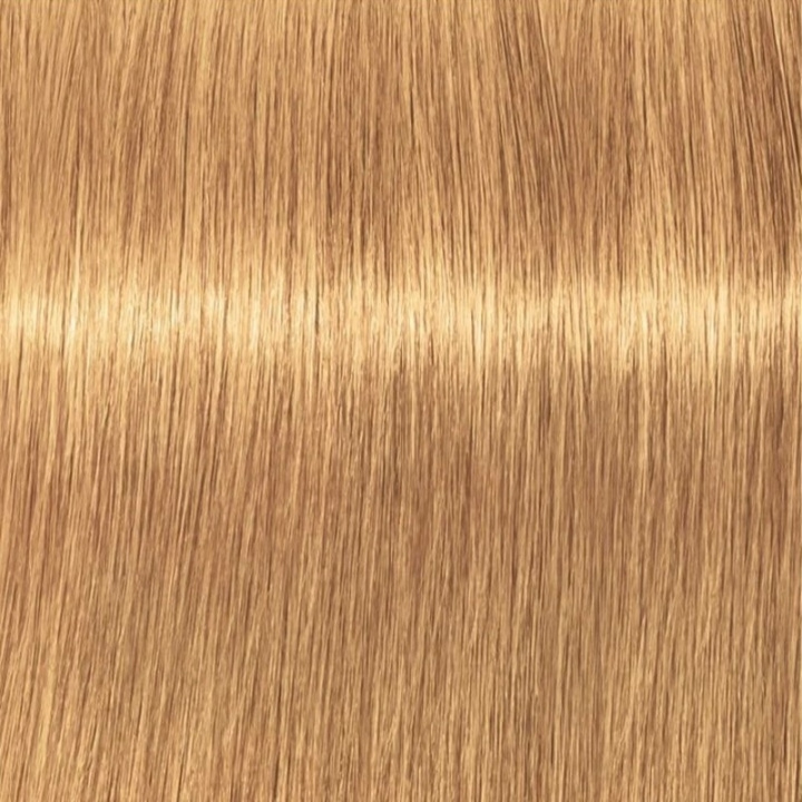 Schwarzkopf Professional Igora Vibrance Kit 9-55 Extra Light Blonde Gold Extra i gruppen HELSE OG SKJØNNHET / Hår & styling / Hårpleie / Hårfarge / Hårfarge & Fargebombe hos TP E-commerce Nordic AB (C62347)