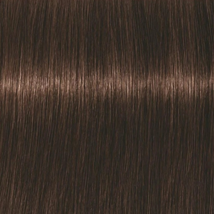 Schwarzkopf Professional Igora Vibrance Kit 4-6 Medium Brown Chocolate i gruppen HELSE OG SKJØNNHET / Hår & styling / Hårpleie / Hårfarge / Hårfarge & Fargebombe hos TP E-commerce Nordic AB (C62368)