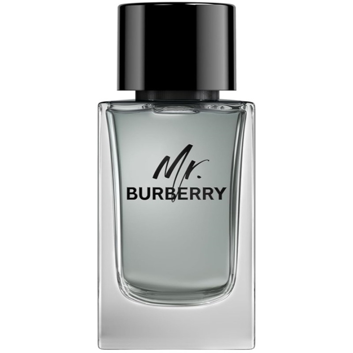 Burberry Burberry Mr Edt 100ml i gruppen HELSE OG SKJØNNHET / Duft og parfyme / Parfyme / Parfyme for han hos TP E-commerce Nordic AB (C74760)