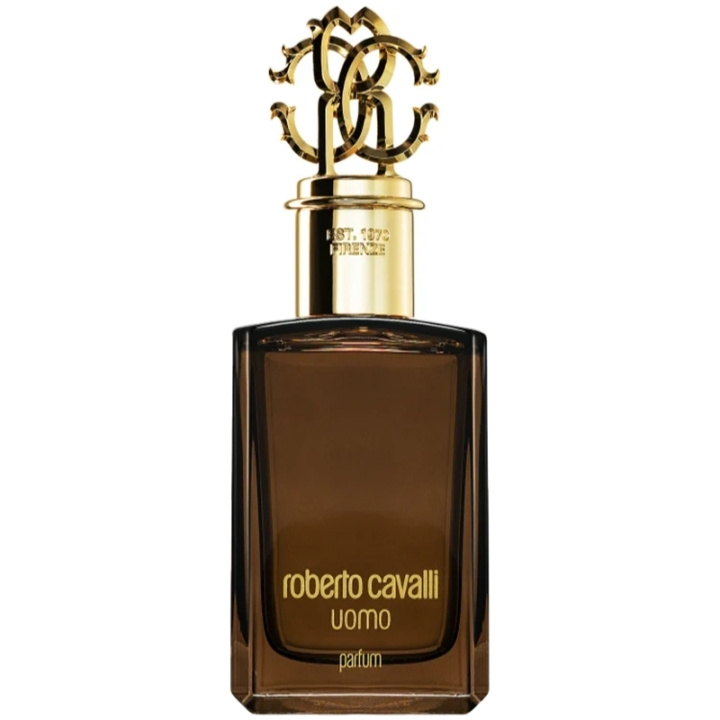 Roberto Cavalli Uomo Edp 100 ml i gruppen HELSE OG SKJØNNHET / Duft og parfyme / Parfyme / Parfyme for han hos TP E-commerce Nordic AB (C78983)