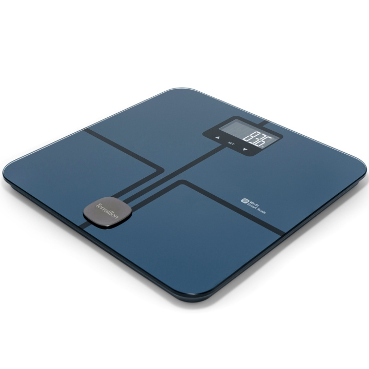 Terraillon Master Coach Ultra Wifi & BMI 180 kg kroppsfettanalysator i gruppen HELSE OG SKJØNNHET / Helsepleie / Personvekter hos TP E-commerce Nordic AB (C81458)
