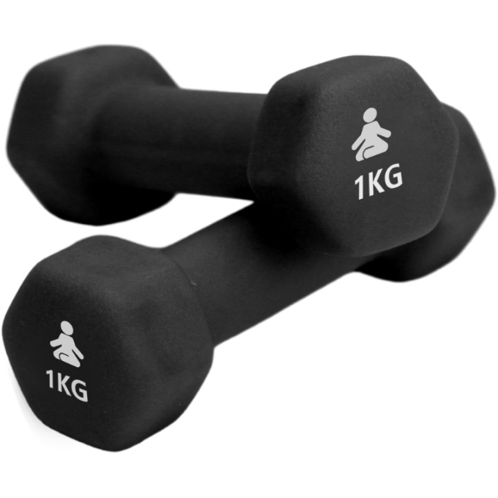 Fitpaddy Premium manualer 2 x 1 kg i gruppen SPORT, FRITID & HOBBY / Treningsutstyr / Treningstilbehør hos TP E-commerce Nordic AB (C82841)