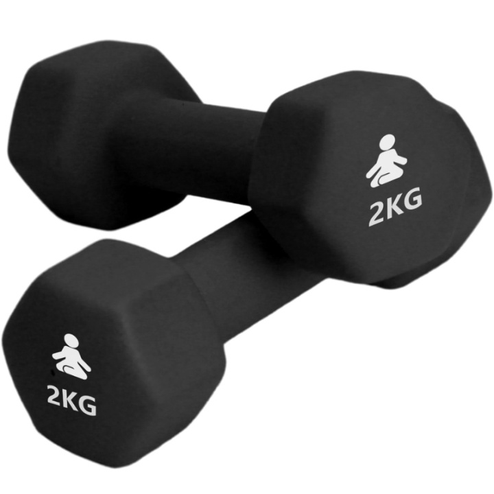 Fitpaddy Premium manualer 2 x 2 kg i gruppen SPORT, FRITID & HOBBY / Treningsutstyr / Treningstilbehør hos TP E-commerce Nordic AB (C82842)