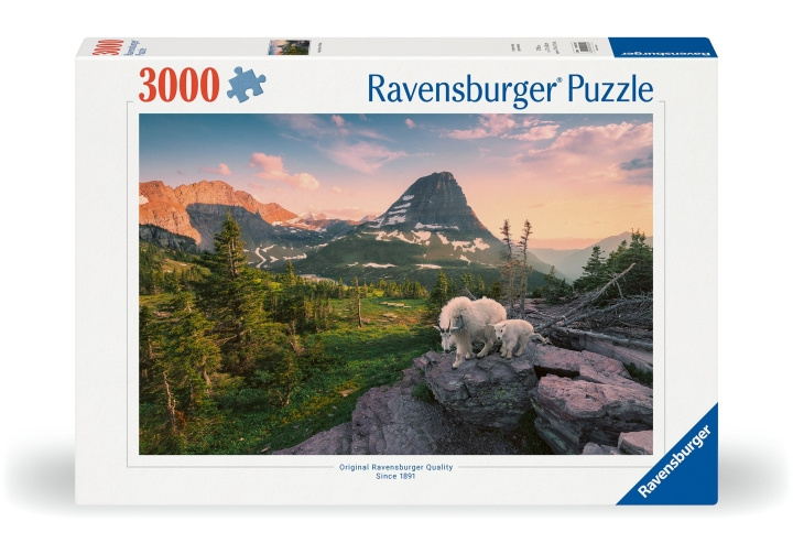 Ravensburger Puslespill Foto City Landscape 3000p (12000809) i gruppen SPORT, FRITID & HOBBY / Hobby / Puslespill hos TP E-commerce Nordic AB (C86133)