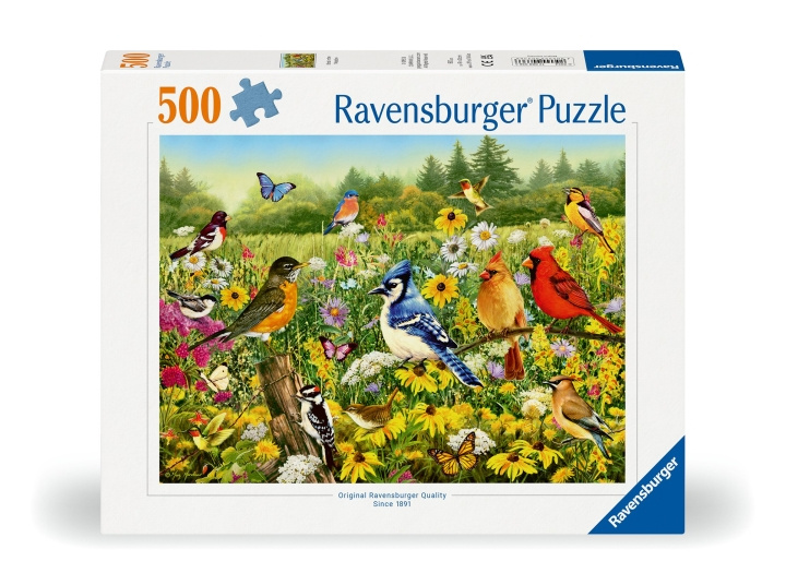 Ravensburger Puslespill Fugler på engen 500p (12000336) i gruppen SPORT, FRITID & HOBBY / Hobby / Puslespill hos TP E-commerce Nordic AB (C86444)