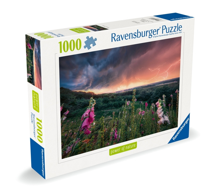 Ravensburger Puslespill Dreamy Thunder 1000p (12000793) i gruppen SPORT, FRITID & HOBBY / Hobby / Puslespill hos TP E-commerce Nordic AB (C86531)