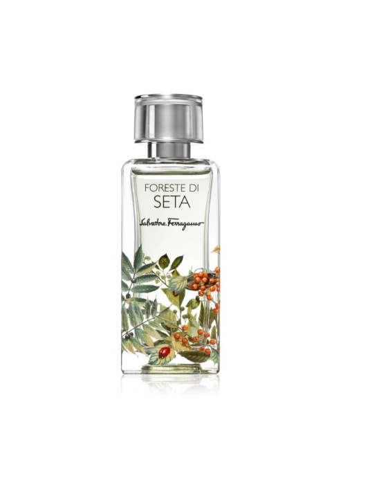 Salvatore Ferragamo Foreste Di Seta EDP 100 ml i gruppen HELSE OG SKJØNNHET / Duft og parfyme / Parfyme / Unisex hos TP E-commerce Nordic AB (C89861)