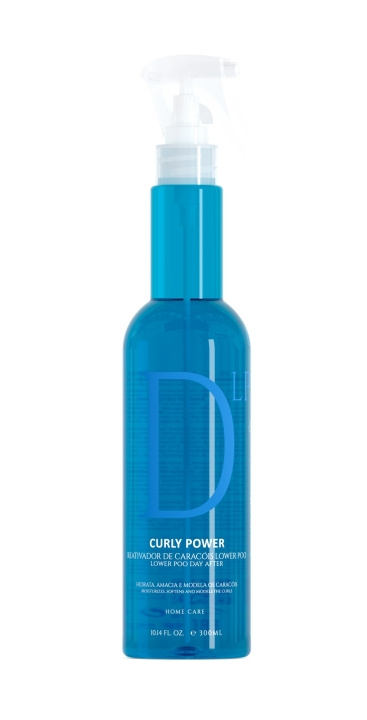 EVAN Curly Power Day After Curl Reactivator Lower Poo Spray 300 ml i gruppen HELSE OG SKJØNNHET / Hår & styling / Hårstyling / Stylingkrem hos TP E-commerce Nordic AB (C96701)
