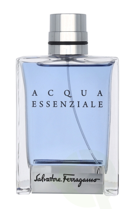 Ferragamo Acqua Essenziale Pour Homme Edt Spray 100 ml i gruppen HELSE OG SKJØNNHET / Duft og parfyme / Parfyme / Parfyme for han hos TP E-commerce Nordic AB (D03130)