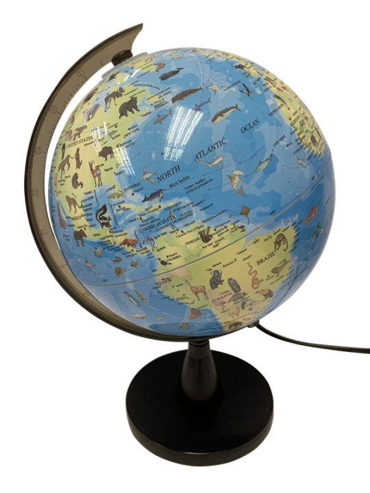 SCIENCE Globus med dyr og stearinlys 20 cm (TY6190) i gruppen SPORT, FRITID & HOBBY / Morsomme produkter / Morsomme produkter hos TP E-commerce Nordic AB (D07263)