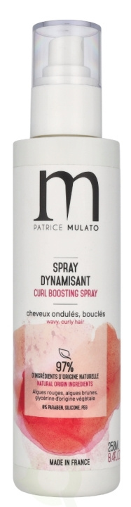 Patrice Mulato P. Mulato Energising Treatment Spray 250 ml i gruppen HELSE OG SKJØNNHET / Hår & styling / Hårpleie / Balsamspray/Leave-in hos TP E-commerce Nordic AB (D08277)