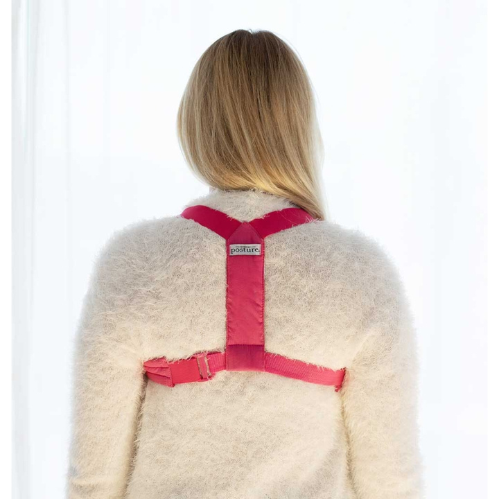 SWEDISH POSTURE Holdningsstøtte Flexi Rosa L-XL i gruppen HELSE OG SKJØNNHET / Helsepleie / Andre hos TP E-commerce Nordic AB (D09198)