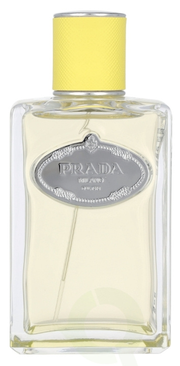 Prada Infusion D\'Ylang Edp Spray 100 ml i gruppen HELSE OG SKJØNNHET / Duft og parfyme / Parfyme / Parfyme for henne hos TP E-commerce Nordic AB (D09488)