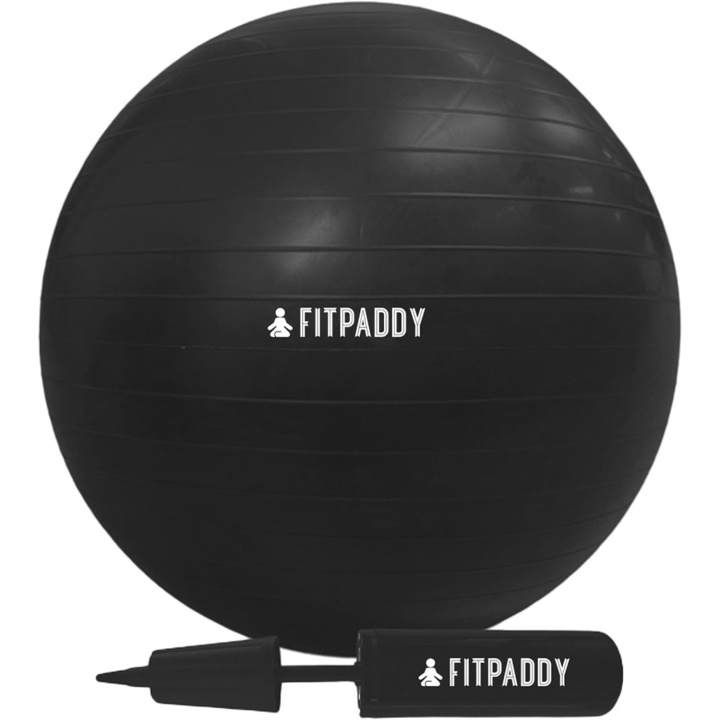 Fitpaddy Gymnastikkball 65 cm i gruppen SPORT, FRITID & HOBBY / Treningsutstyr / Treningstilbehør hos TP E-commerce Nordic AB (D11517)