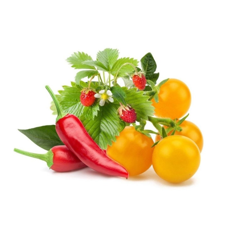Click & Grow Smart Garden Refill 9-pakning frukt- og grønnsaksblanding i gruppen SPORT, FRITID & HOBBY / Morsomme produkter / Smarte produkter hos TP E-commerce Nordic AB (D12757)
