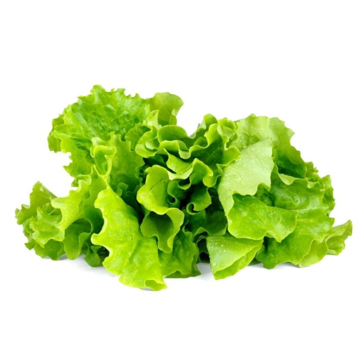 Click & Grow Smart Garden Refill 3-pakning - Grønn salat (SGR32X3) i gruppen SPORT, FRITID & HOBBY / Morsomme produkter / Smarte produkter hos TP E-commerce Nordic AB (D14397)