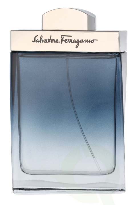 Ferragamo Subtil Pour Homme Edt Spray 100 ml i gruppen HELSE OG SKJØNNHET / Duft og parfyme / Parfyme / Parfyme for han hos TP E-commerce Nordic AB (D14837)