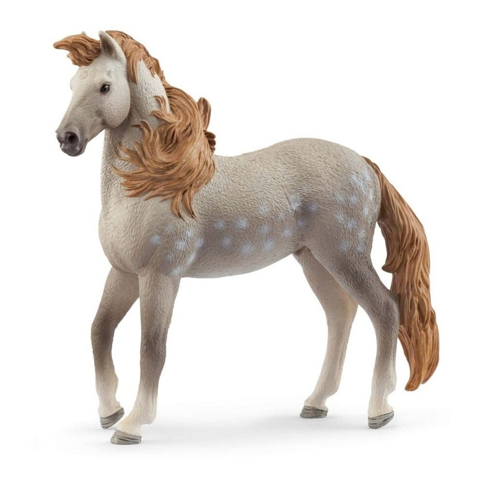 Schleich Andalusisk hingst - (14895) i gruppen LEKER, BARN OG BABY / Leker / Figurer, miniatyrer og tilbehør hos TP E-commerce Nordic AB (D15330)