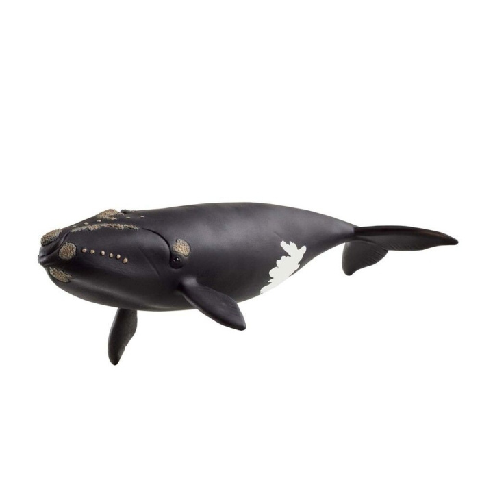 Schleich Nordatlantisk retthval - (14878) i gruppen LEKER, BARN OG BABY / Leker / Figurer, miniatyrer og tilbehør hos TP E-commerce Nordic AB (D15333)