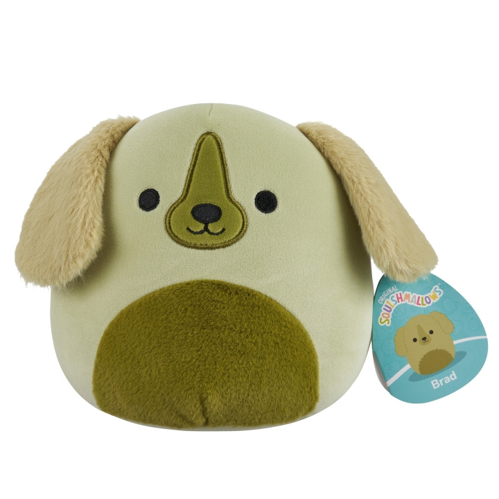 Squishmallows 19 cm plysj P22 - Golden retrieveren Brad i gruppen LEKER, BARN OG BABY / Babyleker (0-3 år) / Kosedyr hos TP E-commerce Nordic AB (D15363)