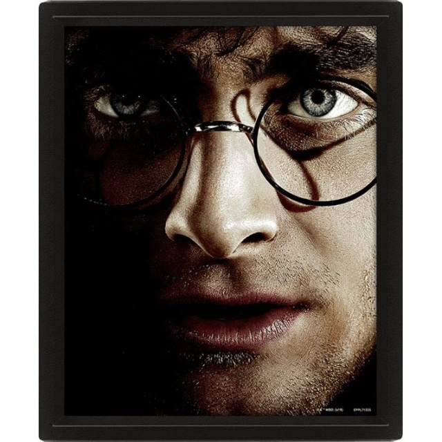 Pyramid International HARRY POTTER (HARRY VS VOLDEMORT) - INNRAMMET i gruppen SPORT, FRITID & HOBBY / Morsomme produkter / Samlerobjekter hos TP E-commerce Nordic AB (D15438)