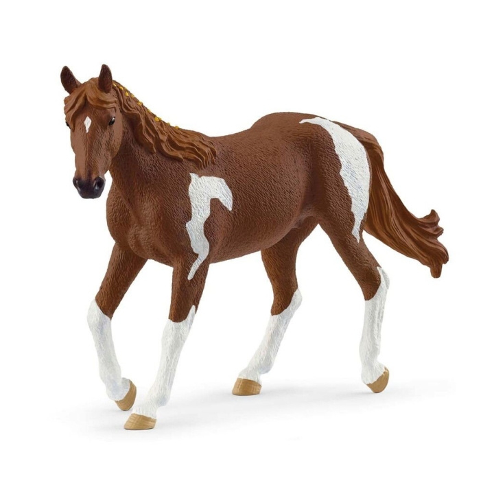 Schleich Paint Horse hoppe - (14901) i gruppen LEKER, BARN OG BABY / Leker / Figurer, miniatyrer og tilbehør hos TP E-commerce Nordic AB (D15653)