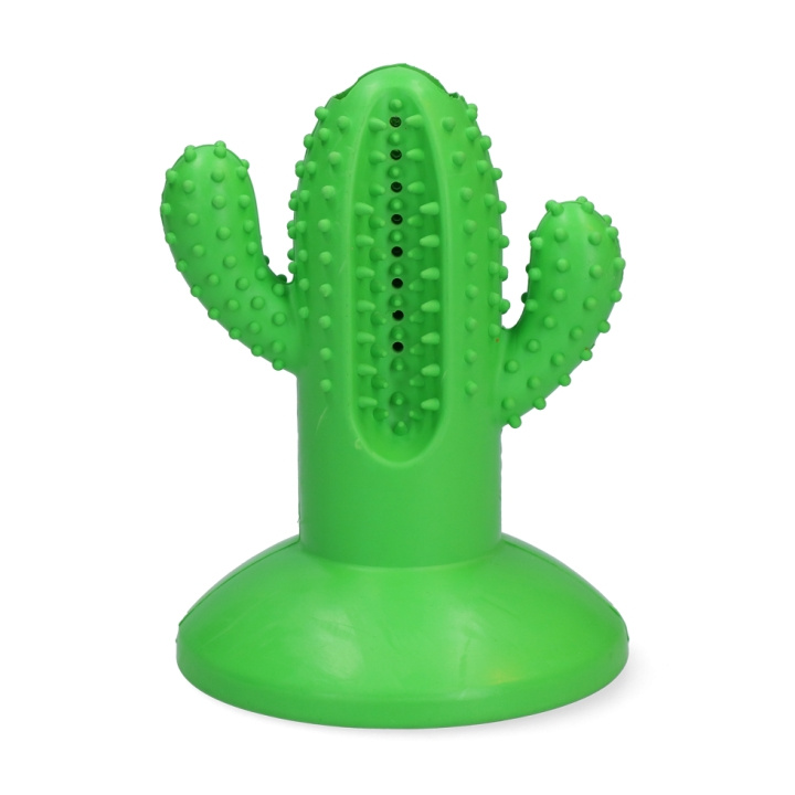 AFP Dental Cactus Large Green 15cm - (AFPH04198) i gruppen HJEM, HUS OG HAGE / Dyretilbehør / Hund hos TP E-commerce Nordic AB (D16824)