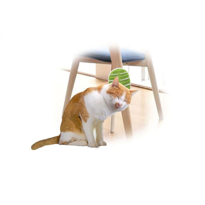 AFP All For Paws - Groomer 2 In 1 20.3X11X2,2Cm - (781.1025) i gruppen HJEM, HUS OG HAGE / Dyretilbehør / Katt hos TP E-commerce Nordic AB (D17139)
