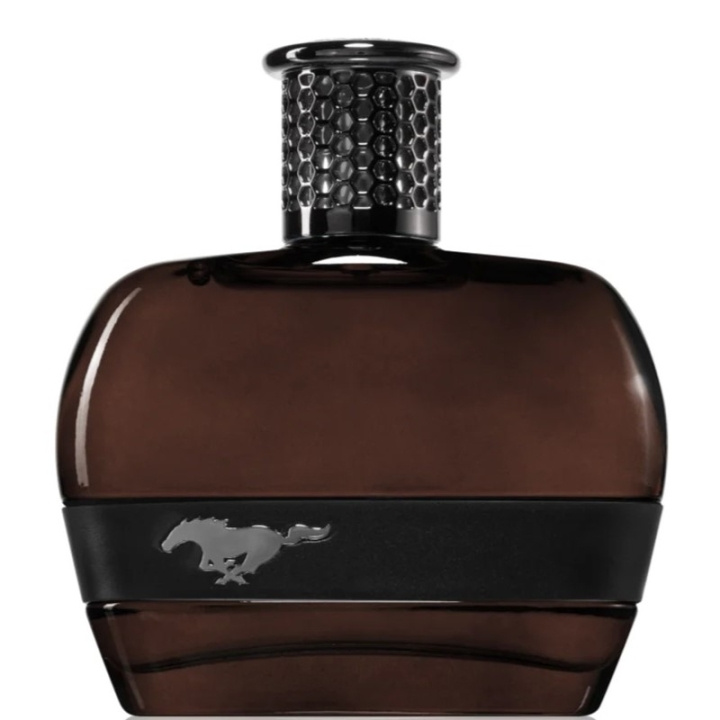 Ford Mustang Black For Men Edt 100ml i gruppen HELSE OG SKJØNNHET / Duft og parfyme / Parfyme / Parfyme for han hos TP E-commerce Nordic AB (D18200)