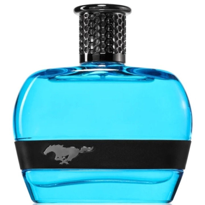 Ford Mustang Blue For Men Edt 100ml i gruppen HELSE OG SKJØNNHET / Duft og parfyme / Parfyme / Parfyme for han hos TP E-commerce Nordic AB (D18202)