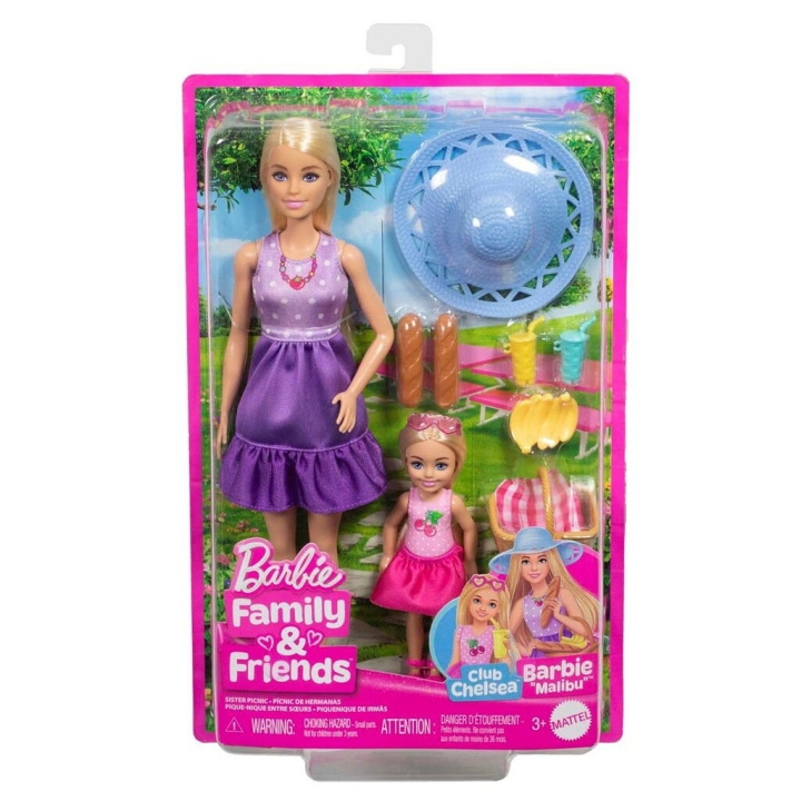 Barbie Malibu & Chelsea Core Dolls - (960-2504) i gruppen LEKER, BARN OG BABY / Leker / Dukker & tilbehør hos TP E-commerce Nordic AB (D19248)